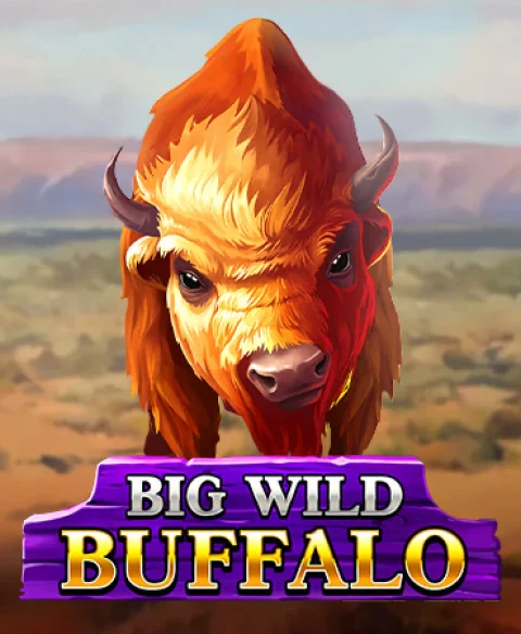 Play Big Wild Buffalo at Fortune Club Zone Casino